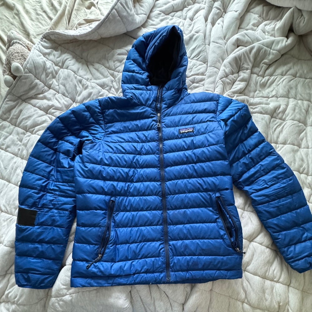 Patagonia Down Sweater Hoody